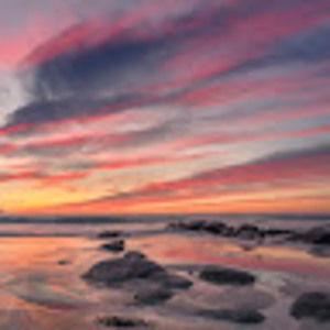 Meet your Posher, Isabella